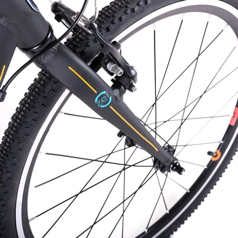 Beany Zero 24 6 Beany Zero 24 – Image 4