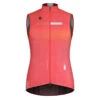 GOBIK Gilet Plus 2.0 -Specialized Soldes Boutique gobik gilet plus 20 jackets 10 04 002 3 41720